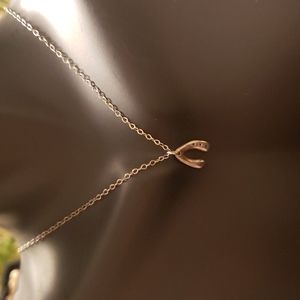 Silver Wishbone Necklace